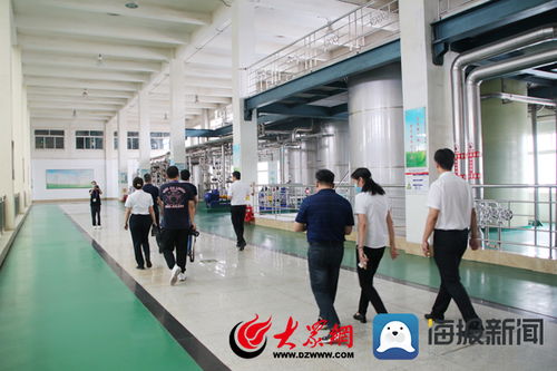 品质滨州 香驰控股的绿色粮油路径